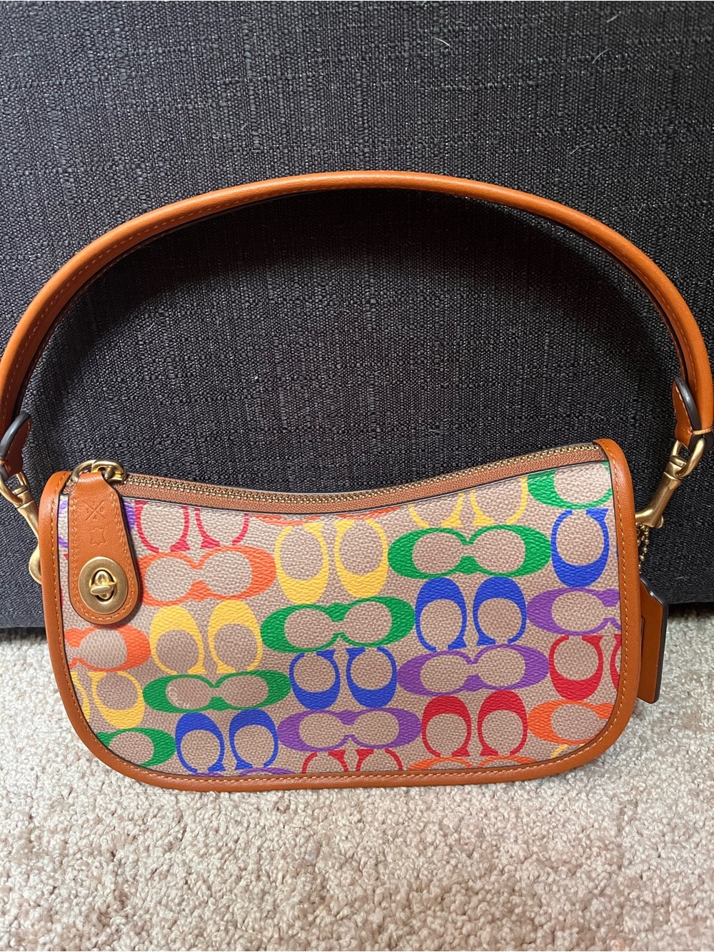 🌈 Coach Pride Rainbow Signature Swinger Bag 2022 Limited Edition NWOT